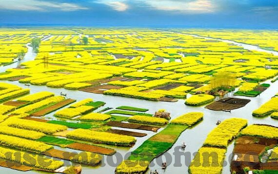 百家乐怎么打才能赢-百家乐赢牌策略，掌握技巧，提升胜率